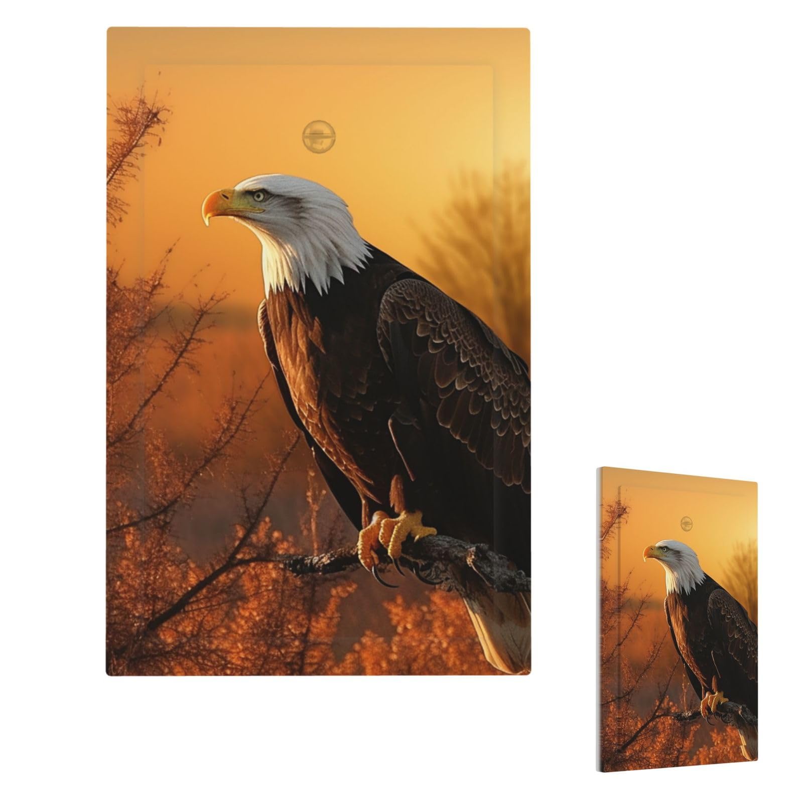Golden Sunset Bald Eagle Wall Plate Cover Single Blank, Modern Decorative Light Switch Cover Unbreakable Receptacle Outlet Covers for Living Room Bedroom Decor