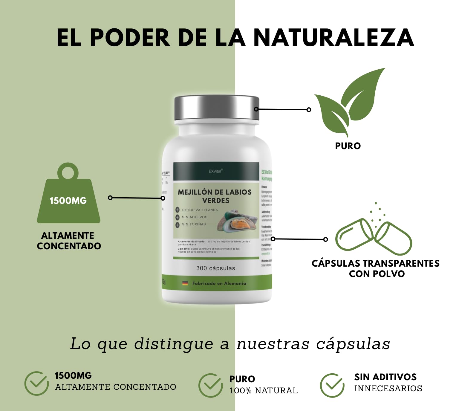 Cápsulas de mejillón de Labio Verde neozelandés con Zinc: Alta dosis de 1500 MG, sin magnesio ni aditivos, 100% Naturales, Calidad Alemana, 300 cápsulas