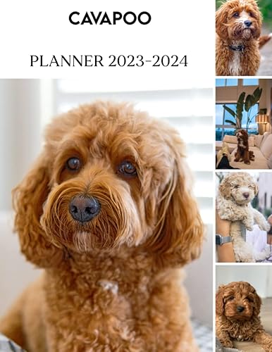 Cavapoo 2023 - 2024 Monthly Planner: Cavapoo Monthly Daily Planner 2023-2024, Weekly And Monthly Planner Planner Christmas Gifts For Men Women Dad Mom Student Teacher