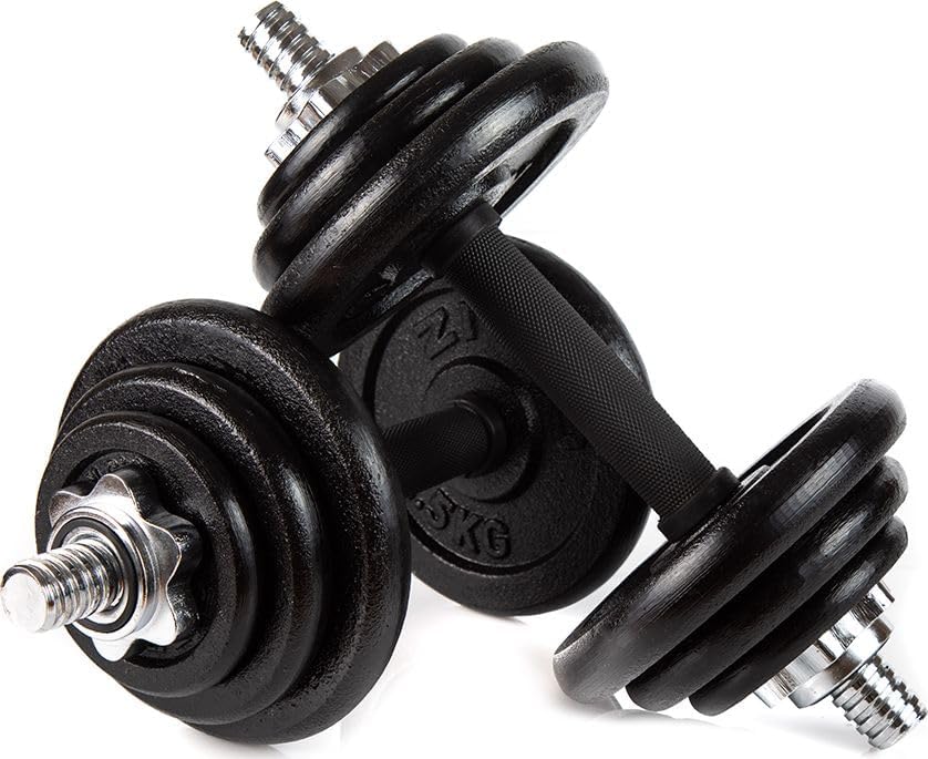 Two assembled ZIPRO adjustable dumbbells with multiple weight plates secured by star-shaped clamps.