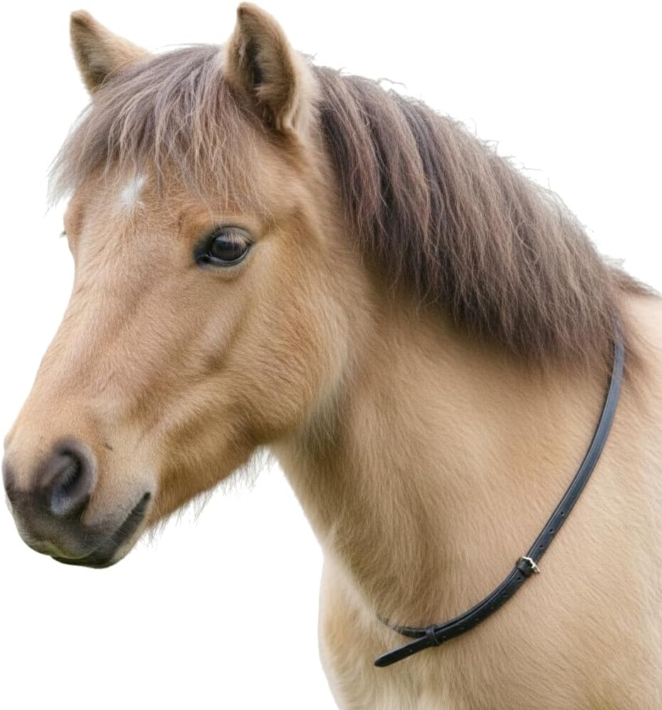 Leather Neck Grab Strap – Horse Riding Balance Aid for Pony, Cob & Full Size