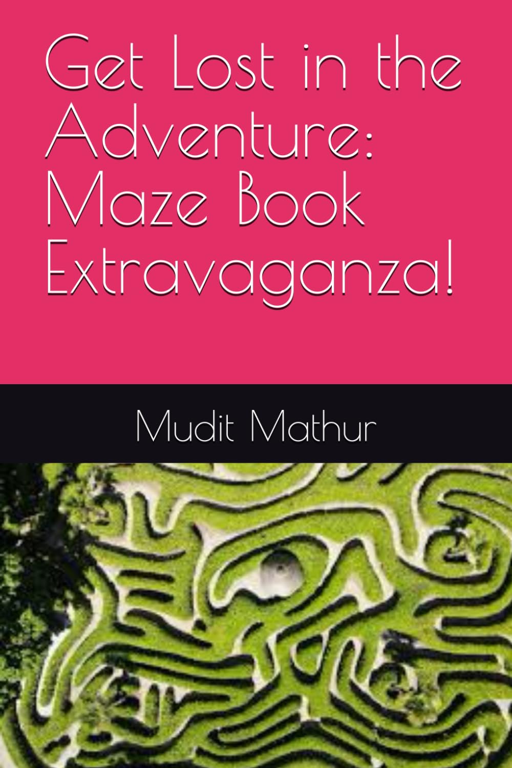 Get Lost in the Adventure: Maze Book Extravaganza!
