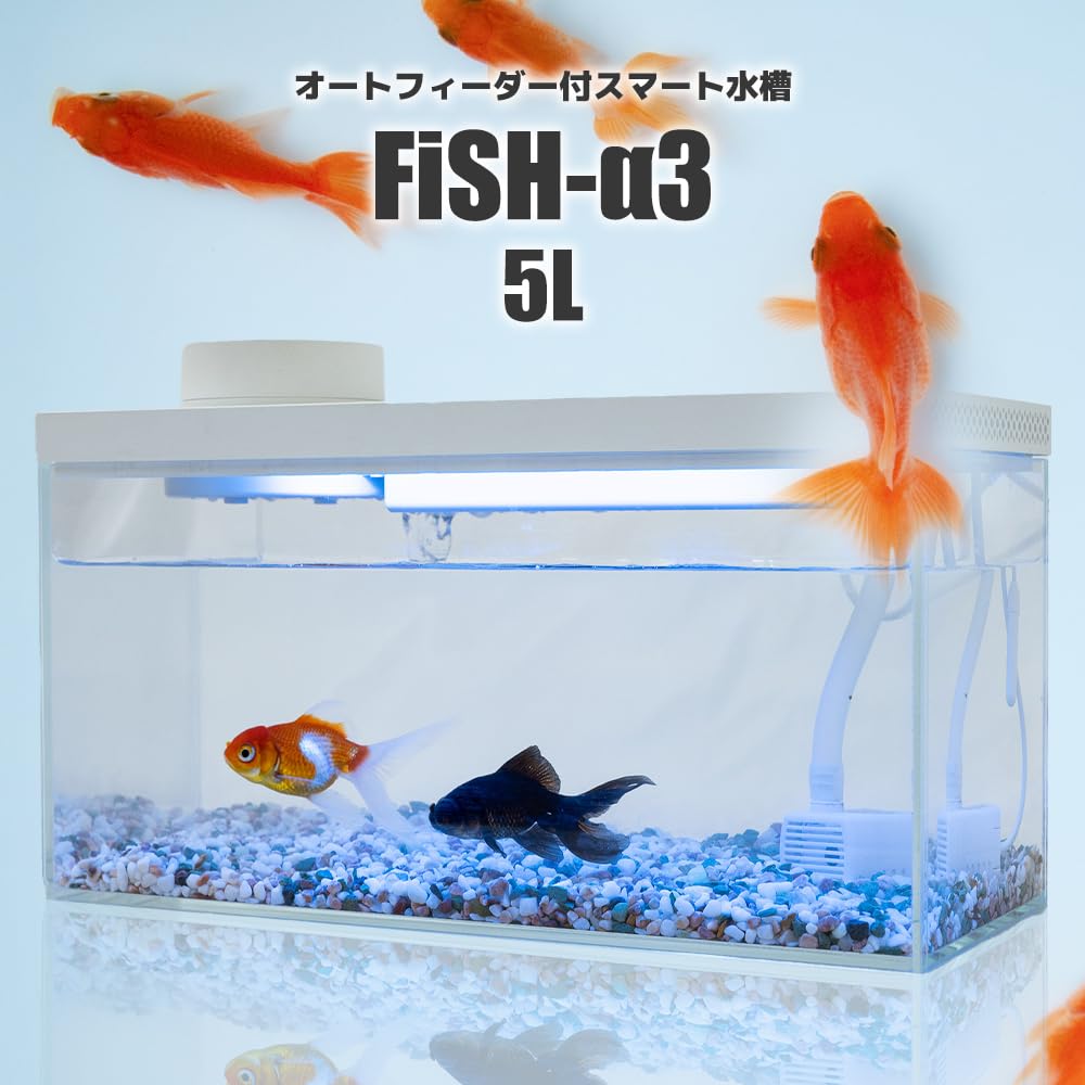 【オールインワン】スマートガラス水槽 Fish-α3 LED照明・自動給餌機能 Amazon | 小型 オールインワン スマート水槽 多機能水槽☆FiSH-α3 IOT