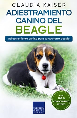 Adiestramiento canino del beagle: Adiestramiento canino para su cachorro beagle