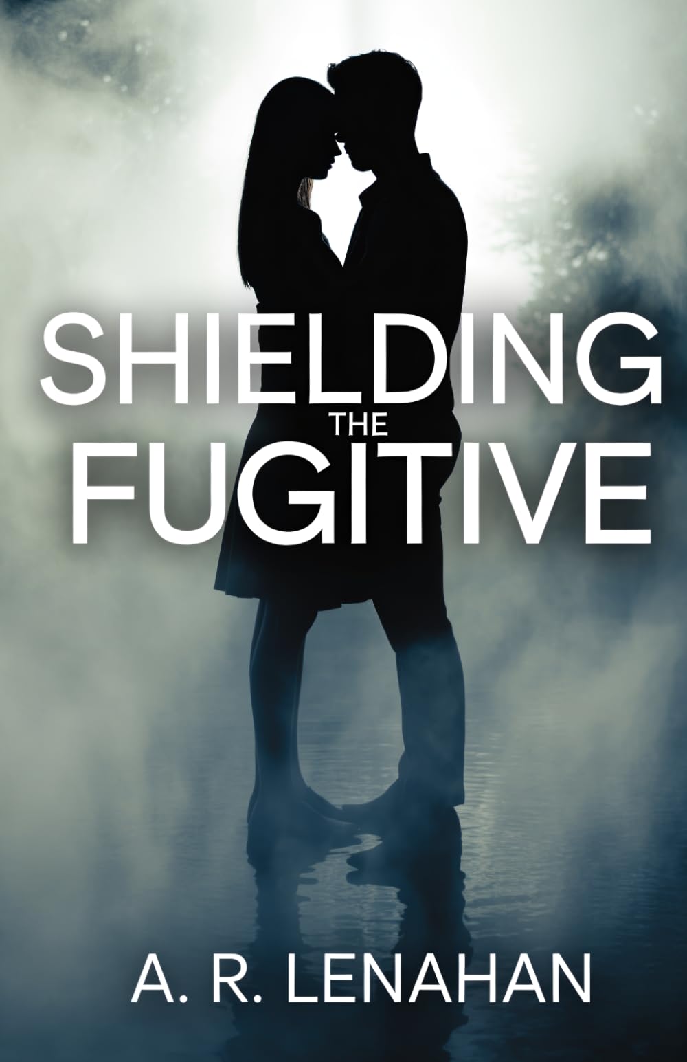 Shielding the Fugitive: A Small Town Protector Romantic Suspense