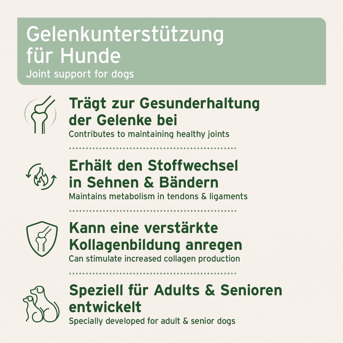 AniForte Gelenktabletten Hund AgilityVet 120 Stück - Natürlich & getreidefrei, fördert Mobilität & Bewegung, Gelenktabletten für Hunde mit Grünlippmuschel, Kollagen, Omega 3 & Teufelskralle