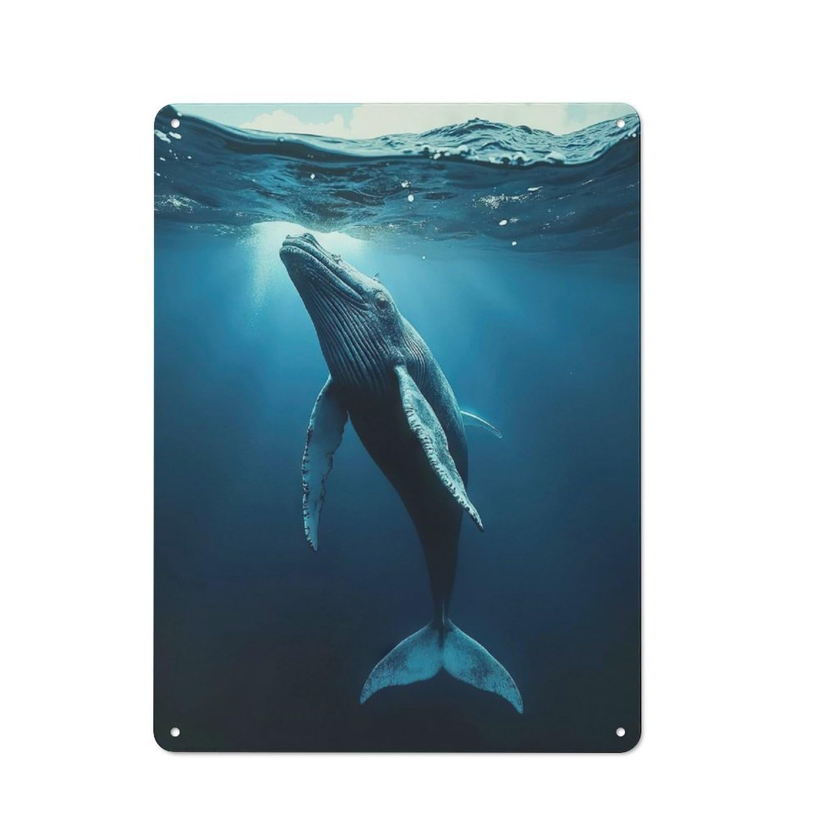 Garden Style Majestic Humpback Whale Shed Metal Sign 40x30cm, Shed Wall Decor for Patio Bar, Workshop, Shed Or Kitchen