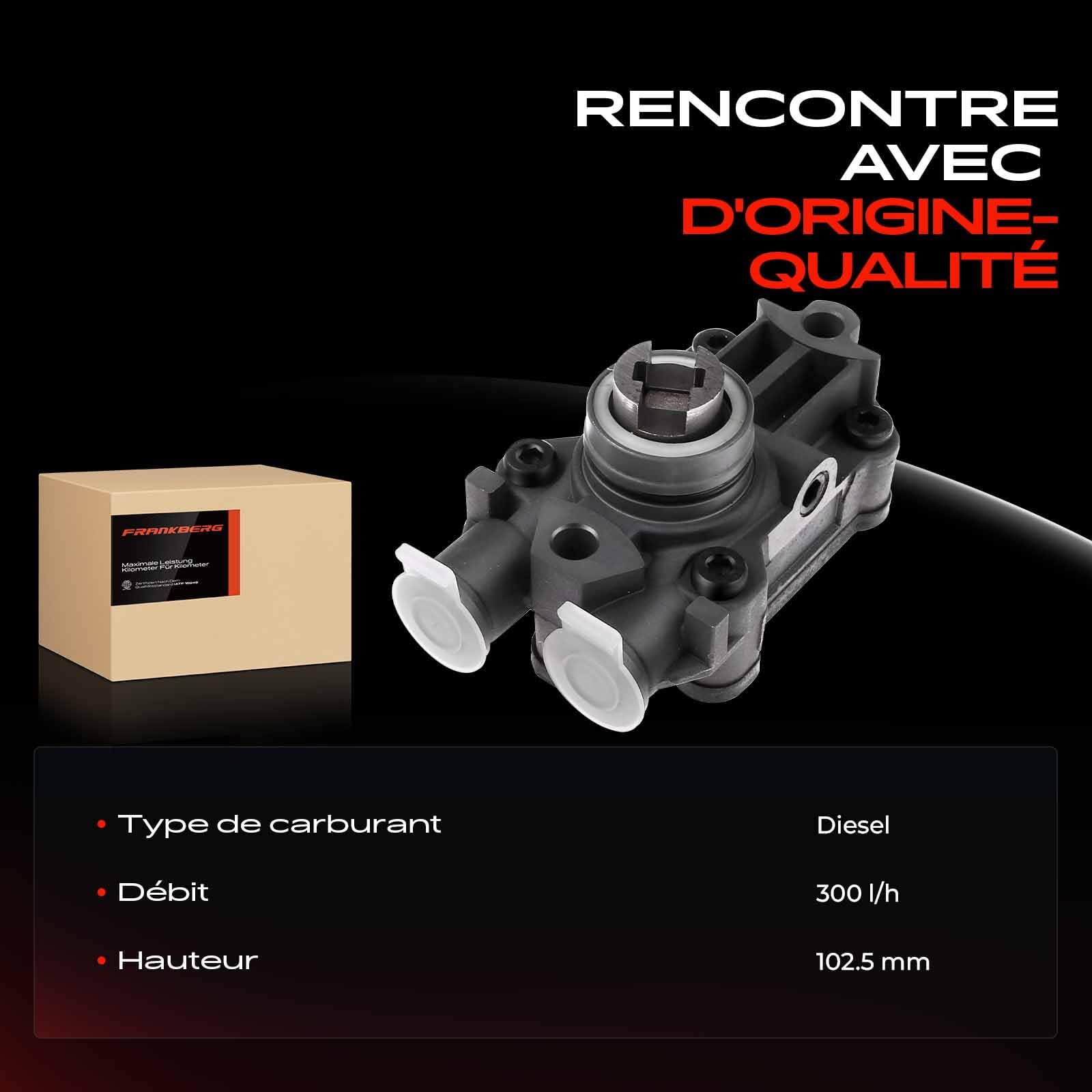 Frankberg Pompe à Carburant Pompe Diesel Unité de pompage 12v sans Filtre