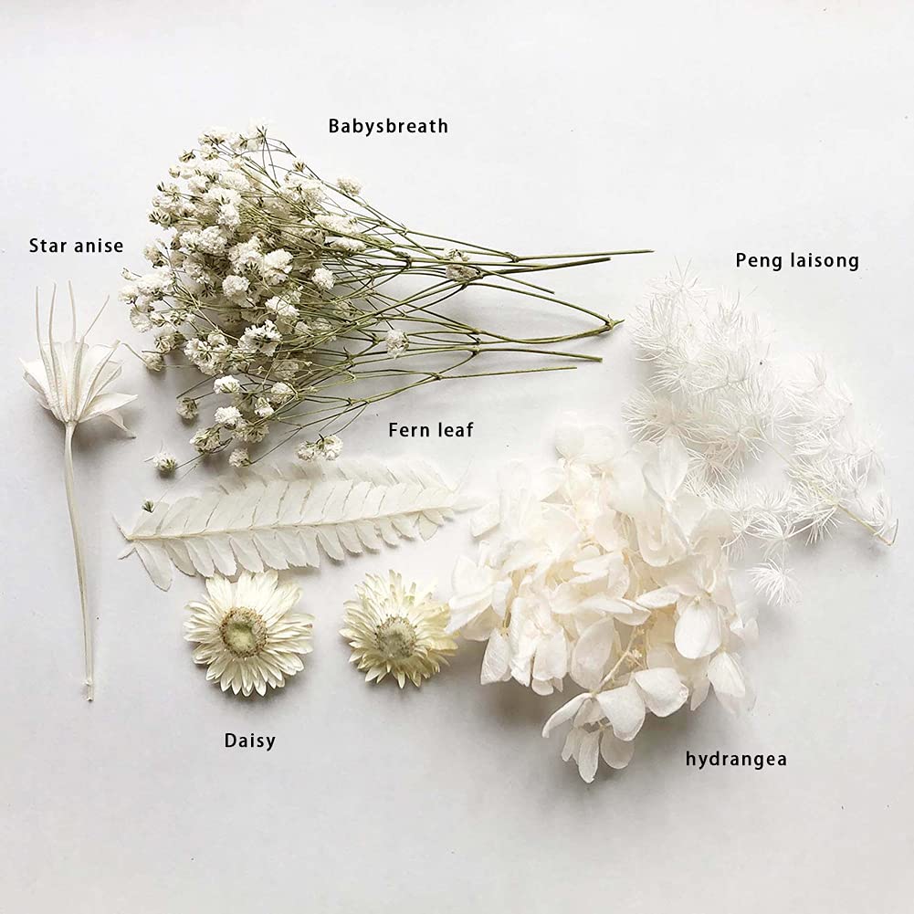 Fiori Stabilizzati E Secchi Per Resina E Fai Da Te - Bouquet Di Fiori Di Campo, Per Decorazioni E Scrapbooking