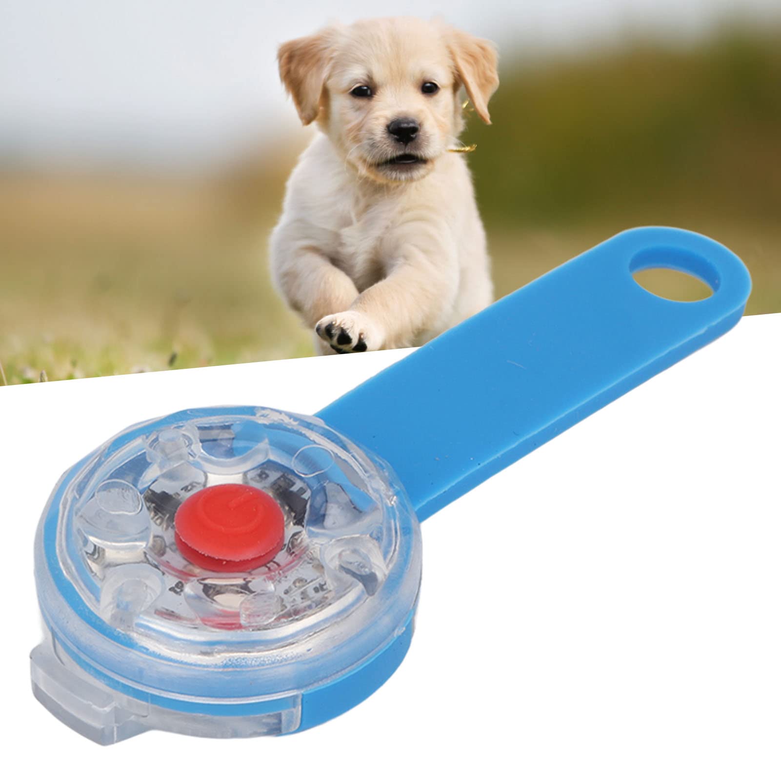 Pssopp LED-Hundehalsband, Wasserdicht (IPX7), USB-aufladbar – 3 Lichtmodi Für Nachtspaziergänge (blau)