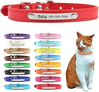 PU Leather Cat Collar Personalized Kitten Collar ID Name Engraving Pet Neck Starp for Cat Small Dog Puppy Accessories Necklace (Medium, Orange)