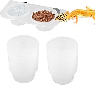 Bartagame Futterstation - Futter Schale Für Gecko - Einfach Zu Reinigender Wassernapf Für Schlangen Einsiedlerkrebs Terrarium Schildkröte Wasserschildkröte product image