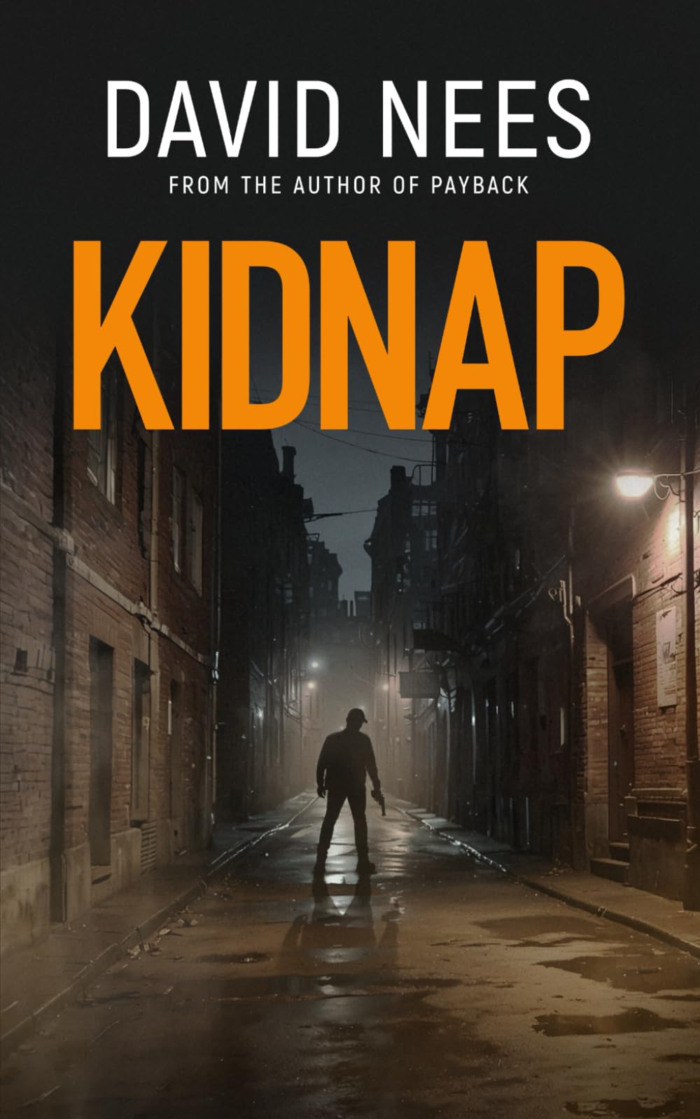 Kidnap: Book 10 in the Dan Stone Assassin series: 12
