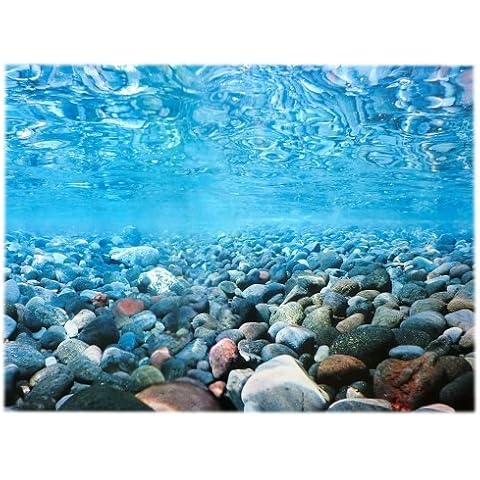 Amtra Croci Rückwandfolie 80 cm x 45 cm Aquarien Rückwand Hintergrund Dekoration Poster Cover