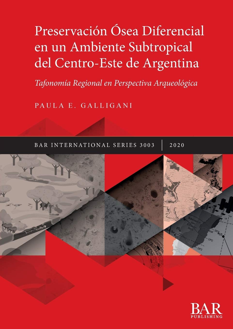 Preservación Ósea Diferencial en un Ambiente Subtropical del Centro-Este de Argentina: Tafonomía Regional en Perspectiva Arqueológica: 3003 (British Archaeological Reports International Series)