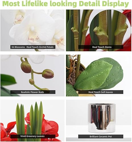 Vista 144 de CXGS Plantas artificiales de orquídeas artificiales de tacto real, orquídeas falsas en jarrón de cerámica de 20.9 pulgadas, orquídea falaenopsis