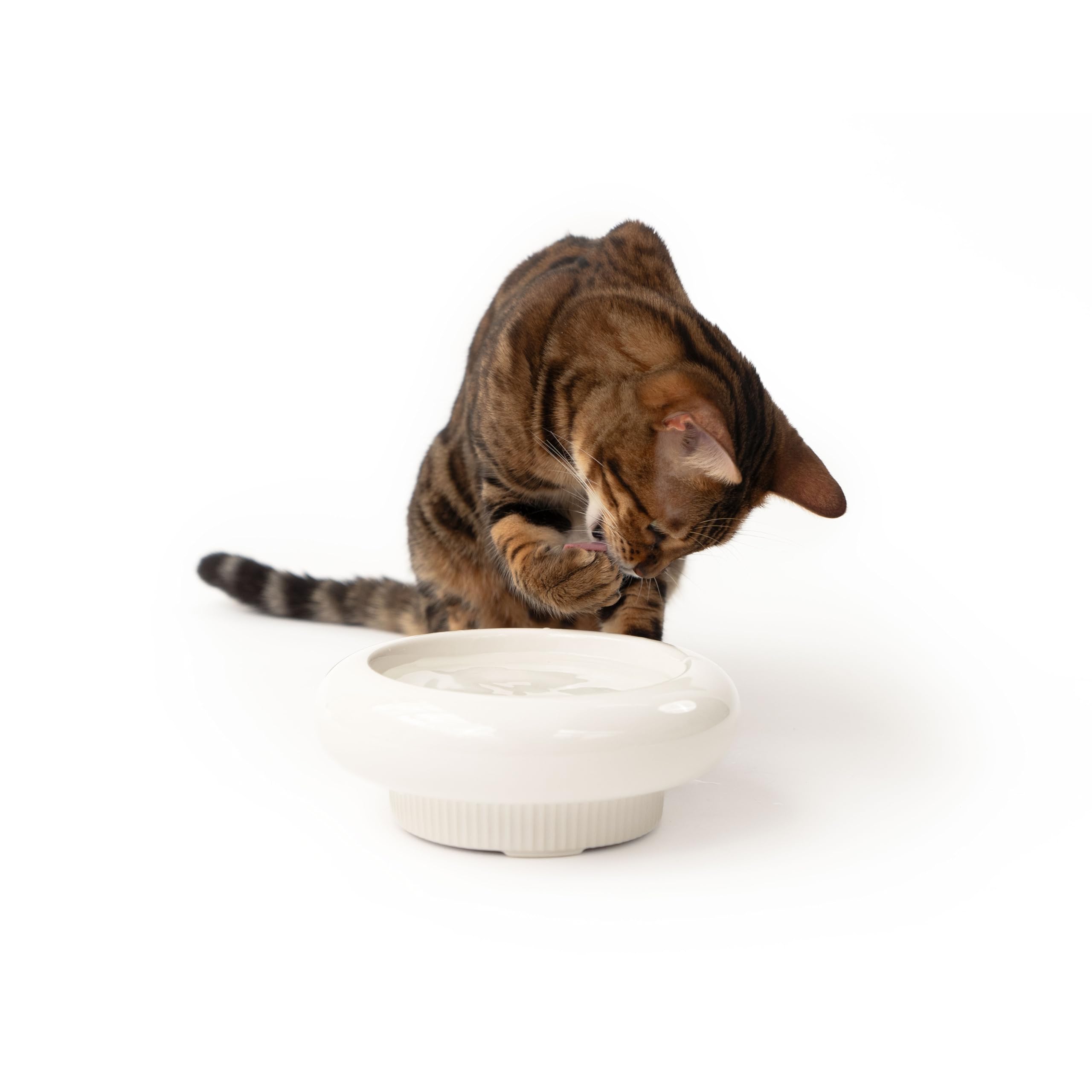Trixie verhoogd keramieken katten voerbak/drinkbak Salie/Wit - 4 cats friends