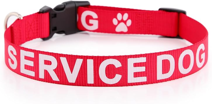 Plutus Pet Service Dog Collar,Printed in Large Letters on Nylon Webbing,Prevents Accidents by Warning Others of Your Dog in Advance,Two Colors,Four Sizes,Neck 8-12 inch,Extra Small,Red | Adjustable, Heavy Duty with Quick Snap Buckle, for Puppy Small Medium Large Dogs, Red, XS