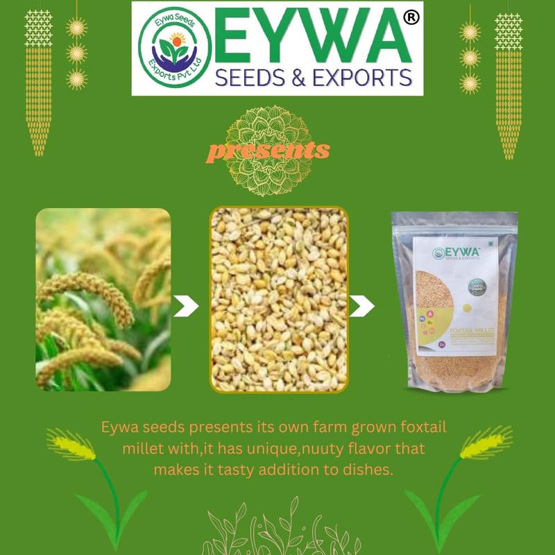 Image of Eywa Seeds & Exports Pvt Ltd Foxtail Millet Grains (5 Kg) For Eating And Cooking|Kang Atta|Produce Of India From Organic Farms