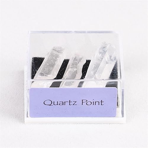 EWNICE 1Pc Natural Crystal Quartz Raw Stone Specimen Mini Box Mineral Geological Science Teaching Material Museum Collection Kid Gift (Color Quartz