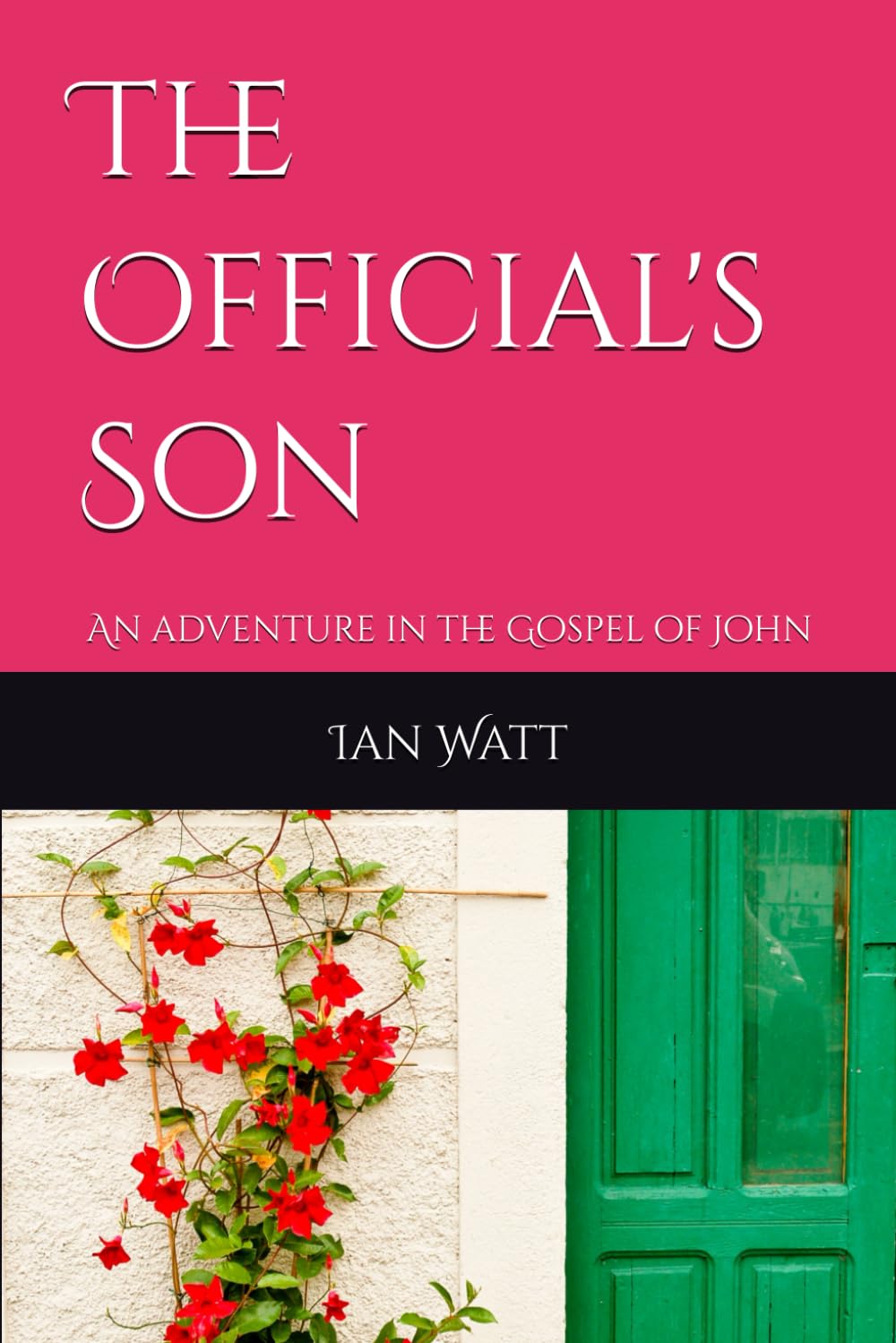 The Official's Son: An adventure in the Gospel of John