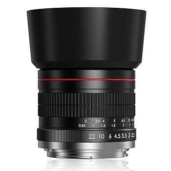 Amazon.com : BENOISON 85mm f1.8 Portrait Lens - Z Lens for