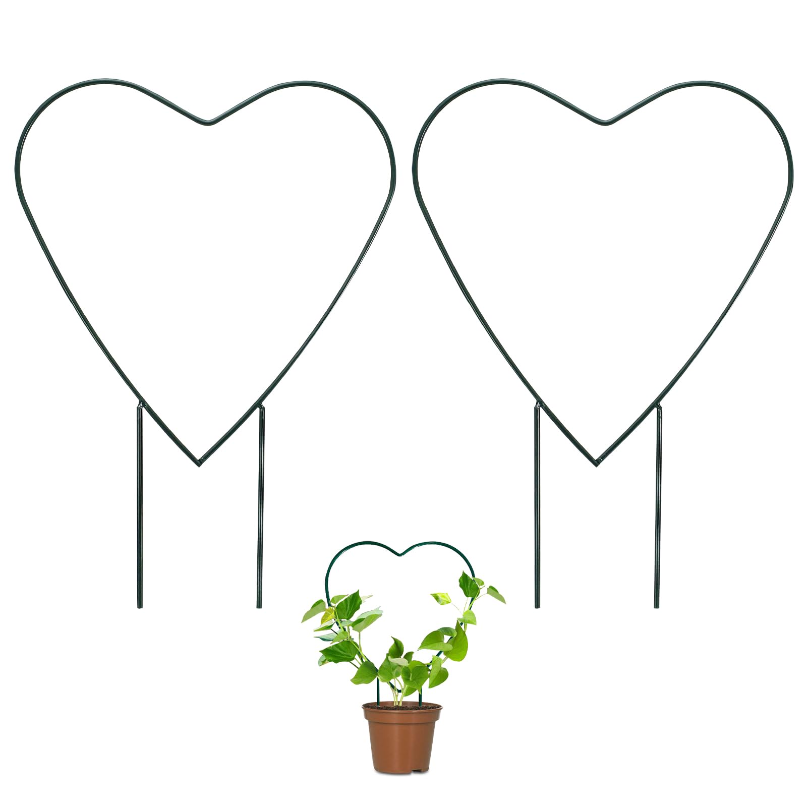 Cabilock Rankgitter Herzform Aus Eisen – Kletterhilfe Für Rosen, Tomaten & Zimmerpflanzen