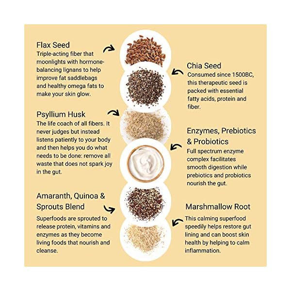 Smart-Pressed-Juice-Pineapple-Chia-Cleanse-Prebiotic-Superfood-Plant-Based-Fiber-with-Vegan-Probiotics-Enzymes-Keto-friendly-Detox-Constipation-Relief-Made-in-the-USA-30-Servings SMART Pressed Juice Pineapple Chia Cleanse | Prebiotic Superfood Plant Based Fiber with Vegan Probiotics & Enzymes | 30 Servings (Packaging May Vary)