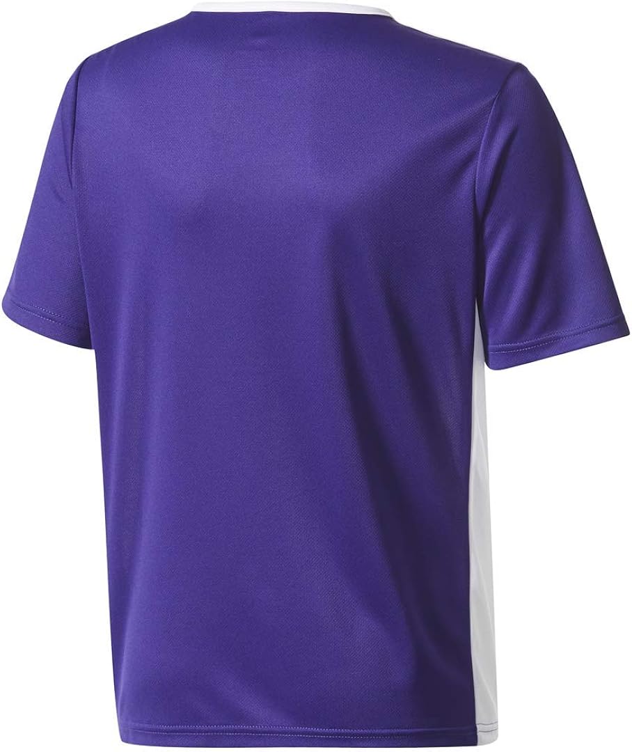 Miniatura 2 de adidas Boy's Entrada 18 Jersey