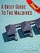 A Brief Guide to the Maldives