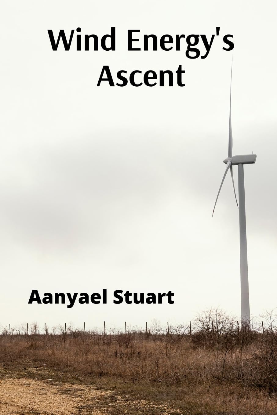 Wind Energy's Ascent: Maximizing Wind Power Through Advanced Turbine Technology and Innovative Energy Management
