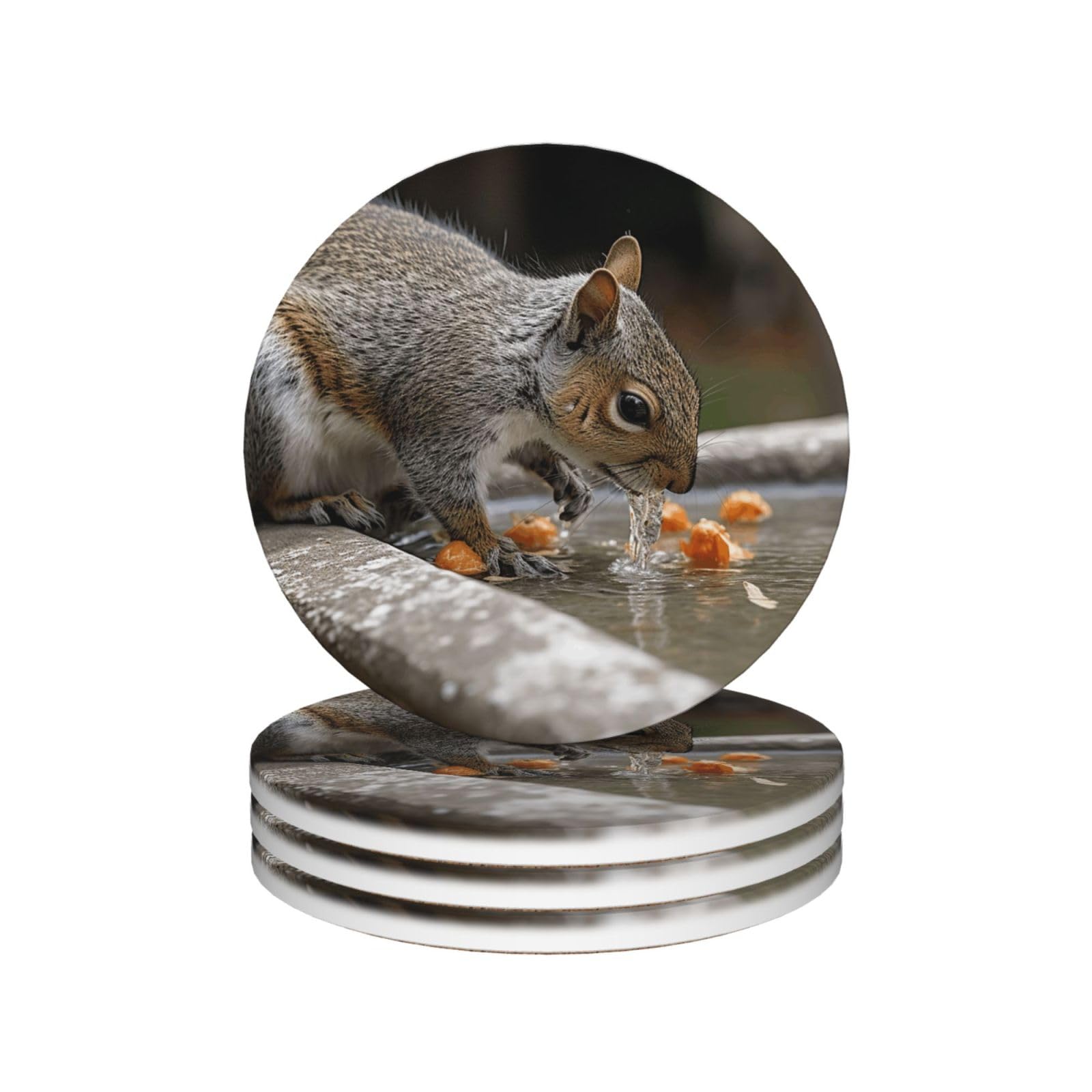 Drink Coasters Set of 4 Coffee Ceramic Coaster Squirrel Drinking Water Coasters for Drinks Coffee Cup Mat Heat Resistant Tabletop Protection Coaster Desk Accessorie Home Decorative