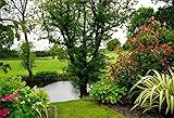 AOFOTO 7x5ft Beautiful Garden Landscape Backdrop Pond Tree Bushes Green Grass Photography Background Summer Colorful Botanical Plant Lawn Meadow Spring Grove Scenery Park Gardening Photo Studio Props