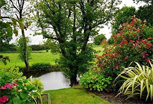 AOFOTO 7x5ft Beautiful Garden Landscape Backdrop Pond Tree Bushes Green Grass Photography Background Summer Colorful Botanical Plant Lawn Meadow Spring Grove Scenery Park Gardening Photo Studio Props