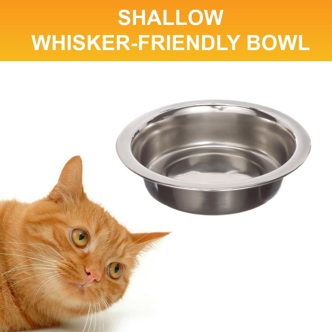 Pet Supplies : Neater Pet Brands 1 Cup (8 oz.) Shallow Stainless