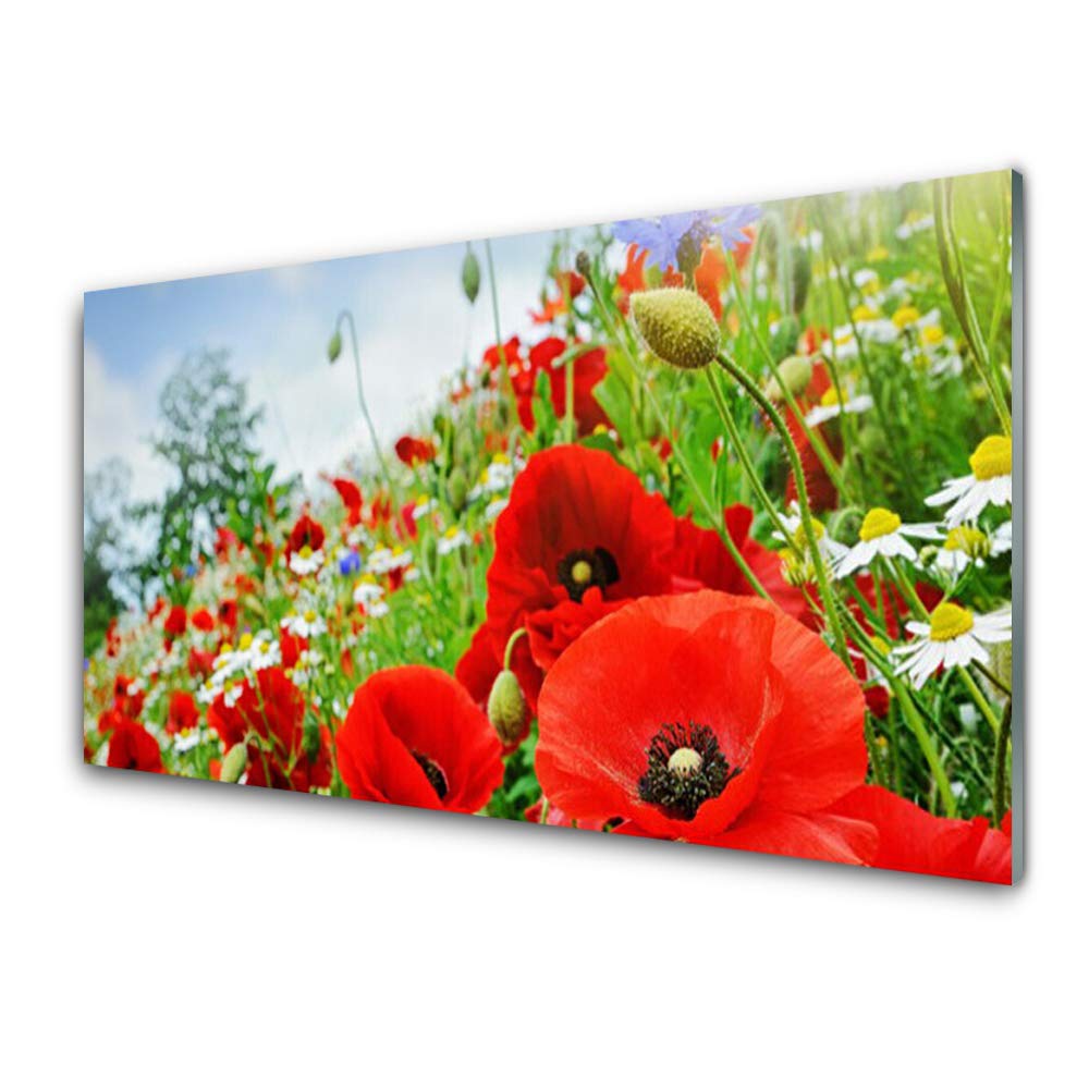 Tableau nature fleurs 100x50cm Tulup impression sur verre trempé déco mural
