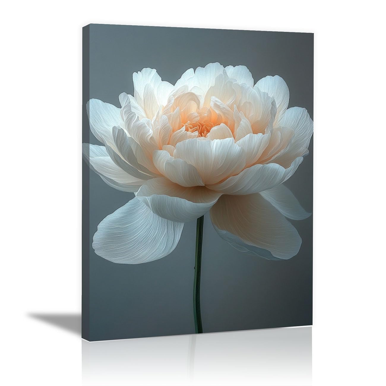 TODOAA Abstractos Blanco Y Negro Cuadros PóSteres Hermosas imágenes de flores Decoracion Salon Modernos, Salón Comedor Oficina Pintura Lienzos decorativos（Blanco-50x70cm Enmarcado