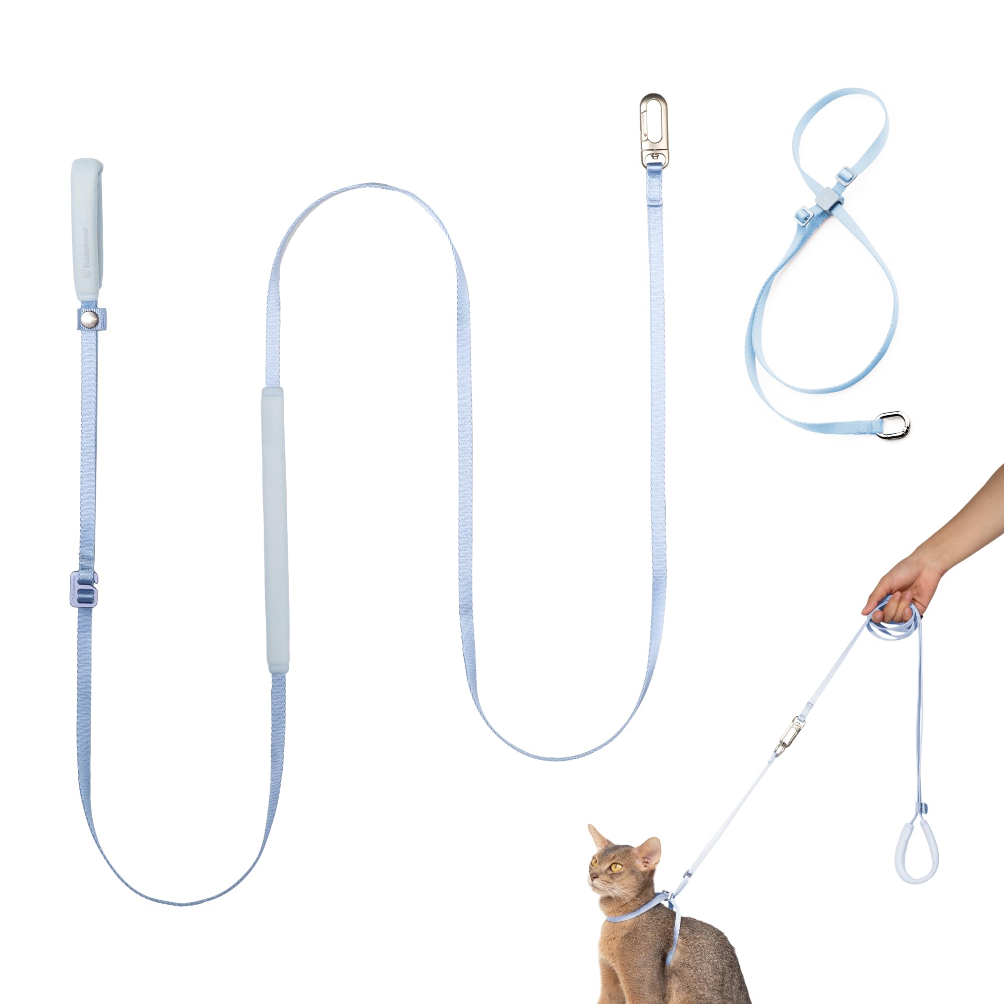 Ensemble harnais et laisse pour chat – Harnais léger anti-fugue avec poignée rembourrée, laisse réglable pour dressage de marche et de dressage pour chaton, petit et grand (Sierra Blue, M)