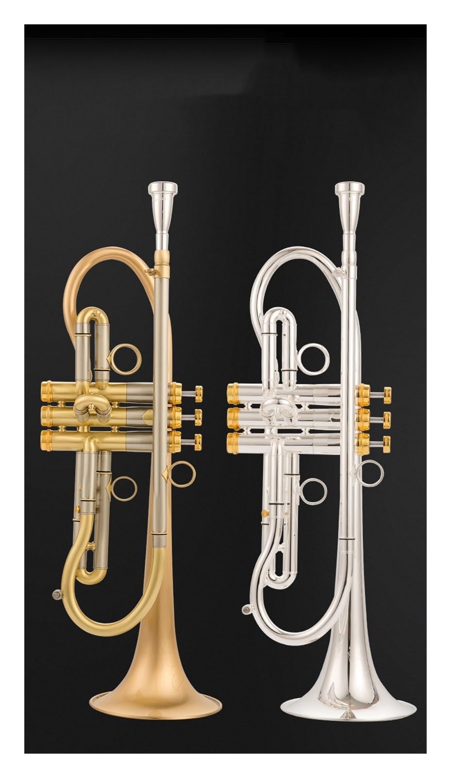 trąbka instrument Profesjonalna trąbka TR800 ze szczotkowanej złotej miedzi posrebrzana o wysokiej jakości wykonania w instrumencie trąbkowym B(Color:Gold)