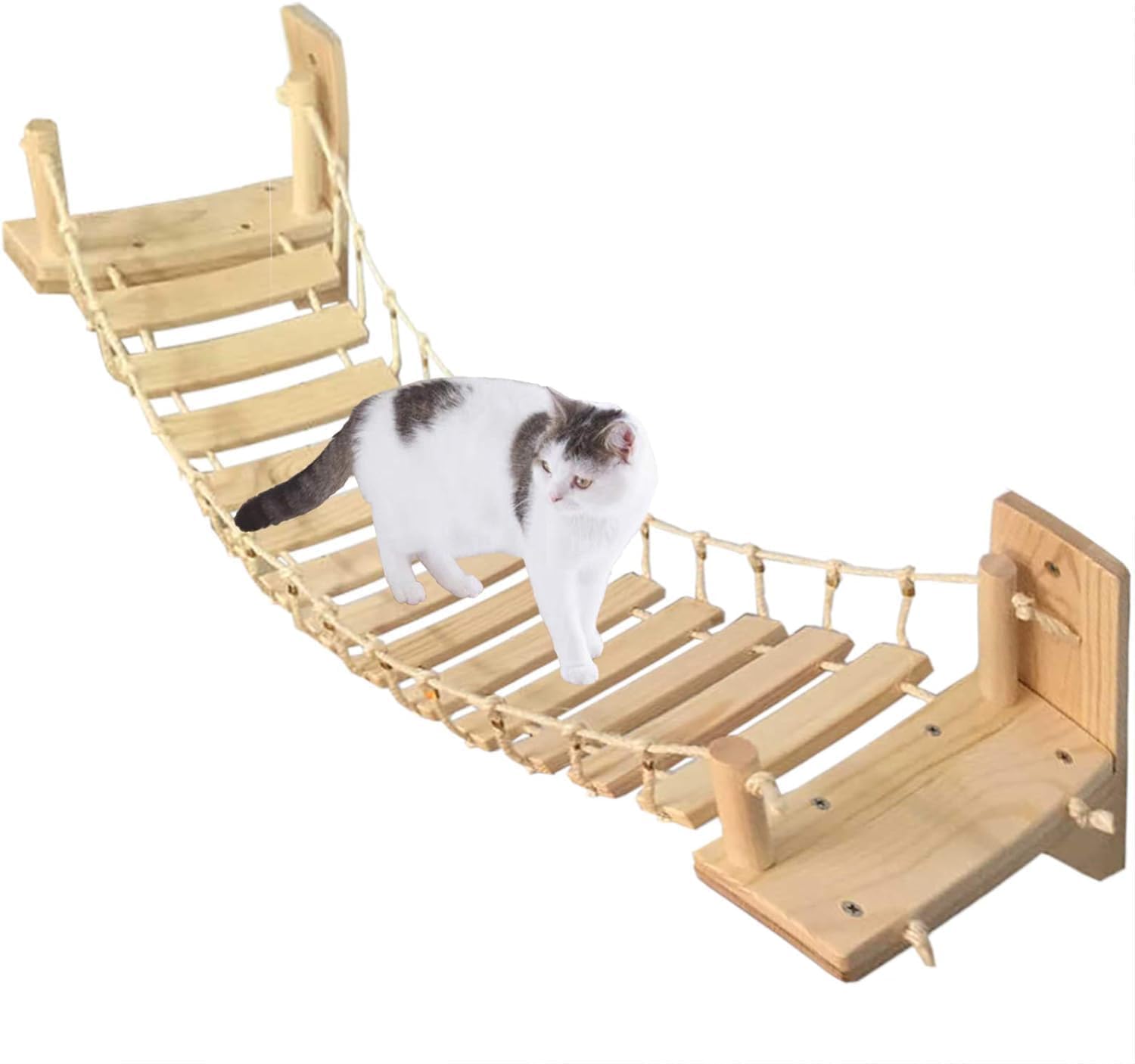 タイ王宮御用達♦️シーシャムウッド♦️猫脚 コンパクトテーブル