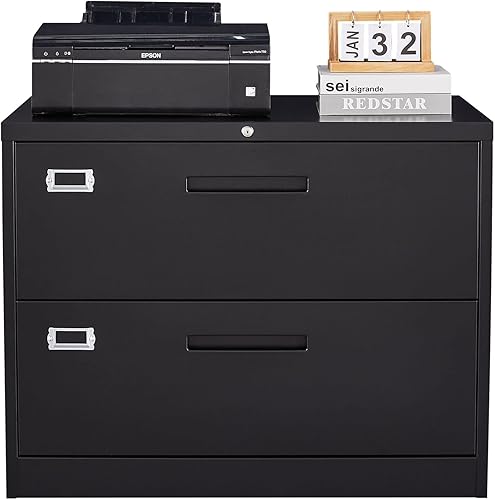 MIIIKO Archivador lateral de 2 cajones con cerradura, archivador para oficina en casa, fácil de montar, archivador de almacenamiento de metal para