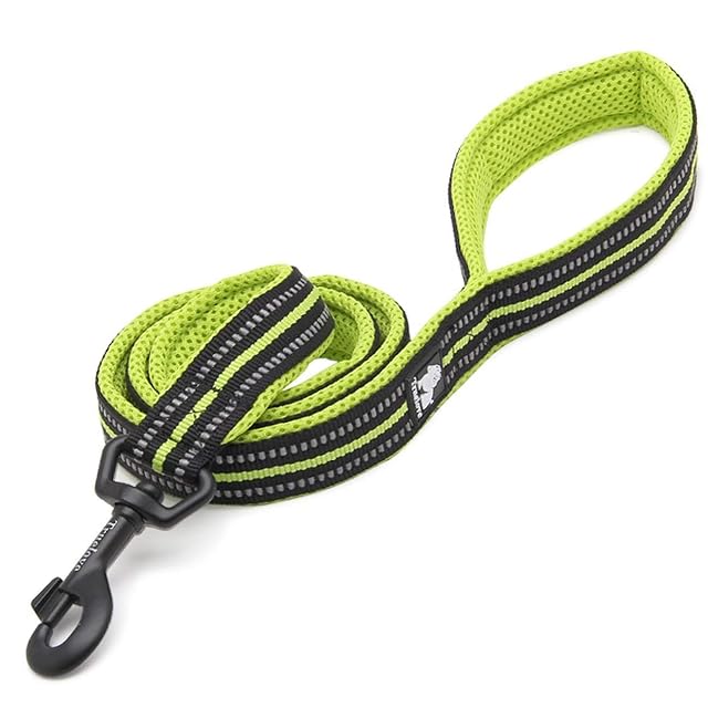 Correa de Paseo para Perro, de Truelove. Correa para Mascota TLL2111, Acolchada y Reflectante de 100 cm