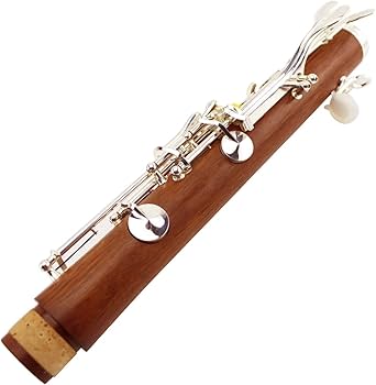 Amazon | クラリネット 木製クラリネット楽器 Bフラットクラリネット