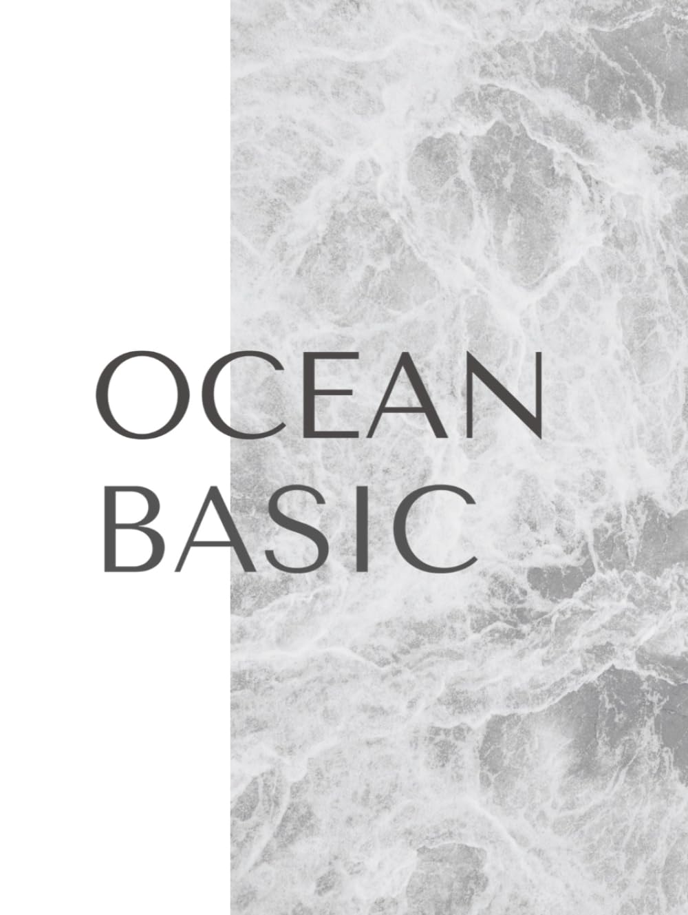 Livre Ocean Basic pour combler le vide d'une table basse avec un style côtier chic
