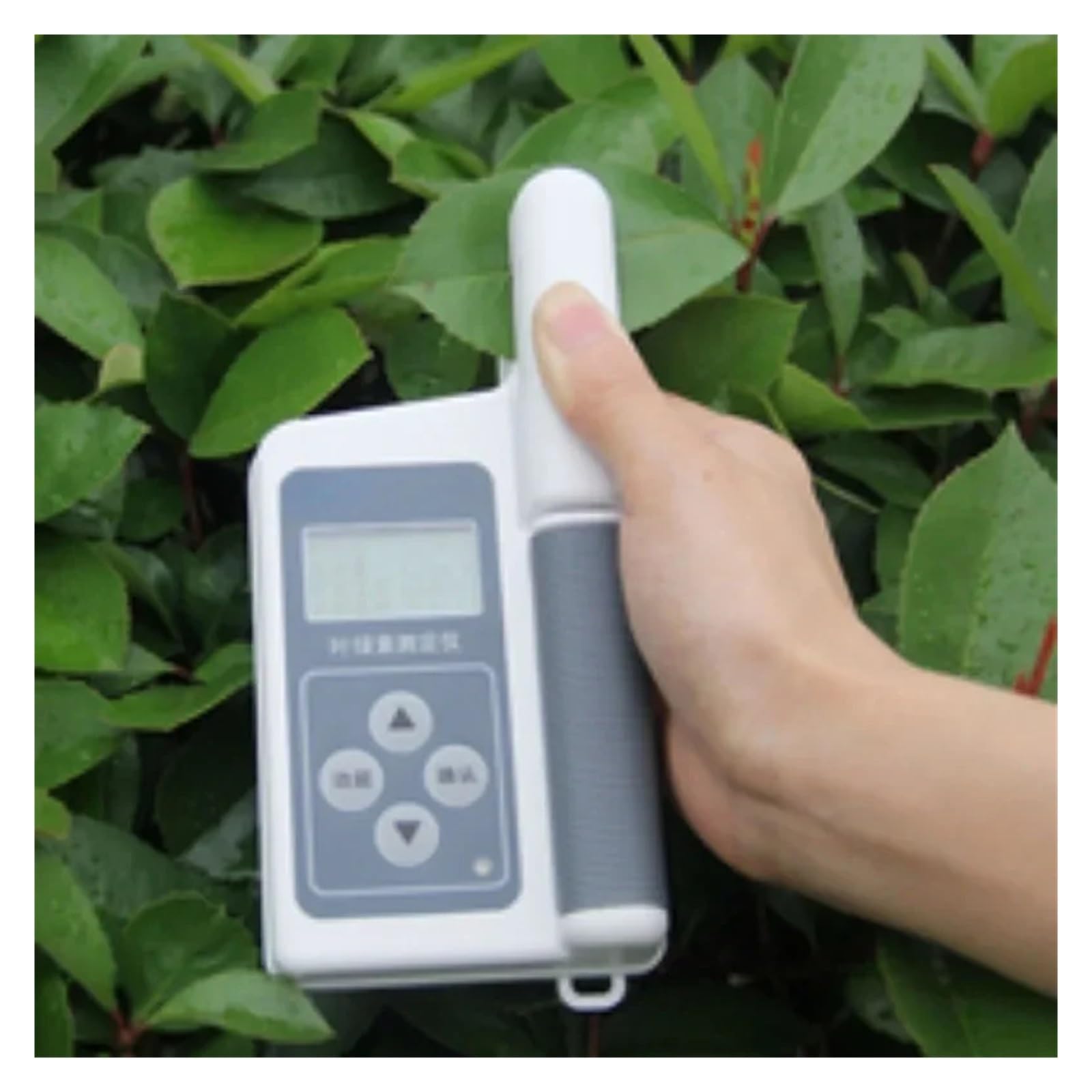 Analizador portátil de clorofila for plantas, medidor de nutrientes, temperatura, humedad y nutrición de plantas