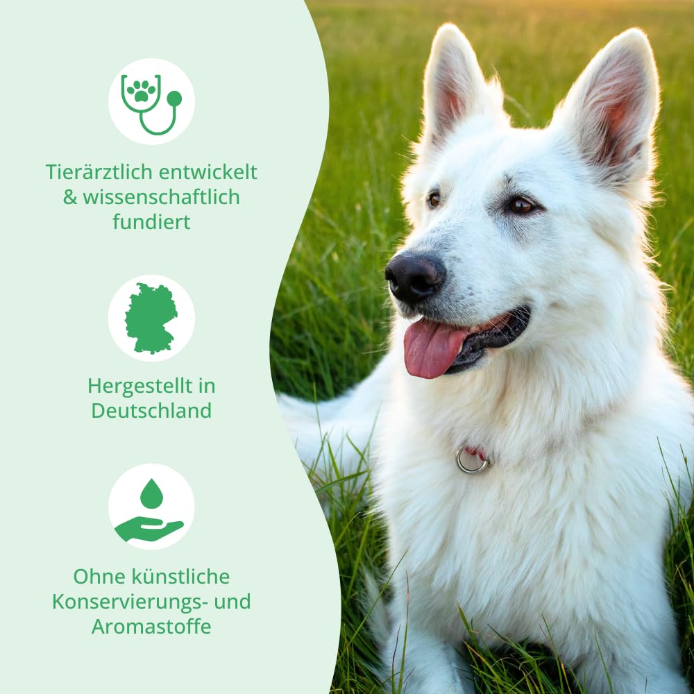 Comfort Sensitiv Tabs – Natürlicher Entspannungs-Komplex für ernährungssensible Hunde – Mit Tryptophan aus Molke, Magnesium und B-Vitaminen – 150 Tabs