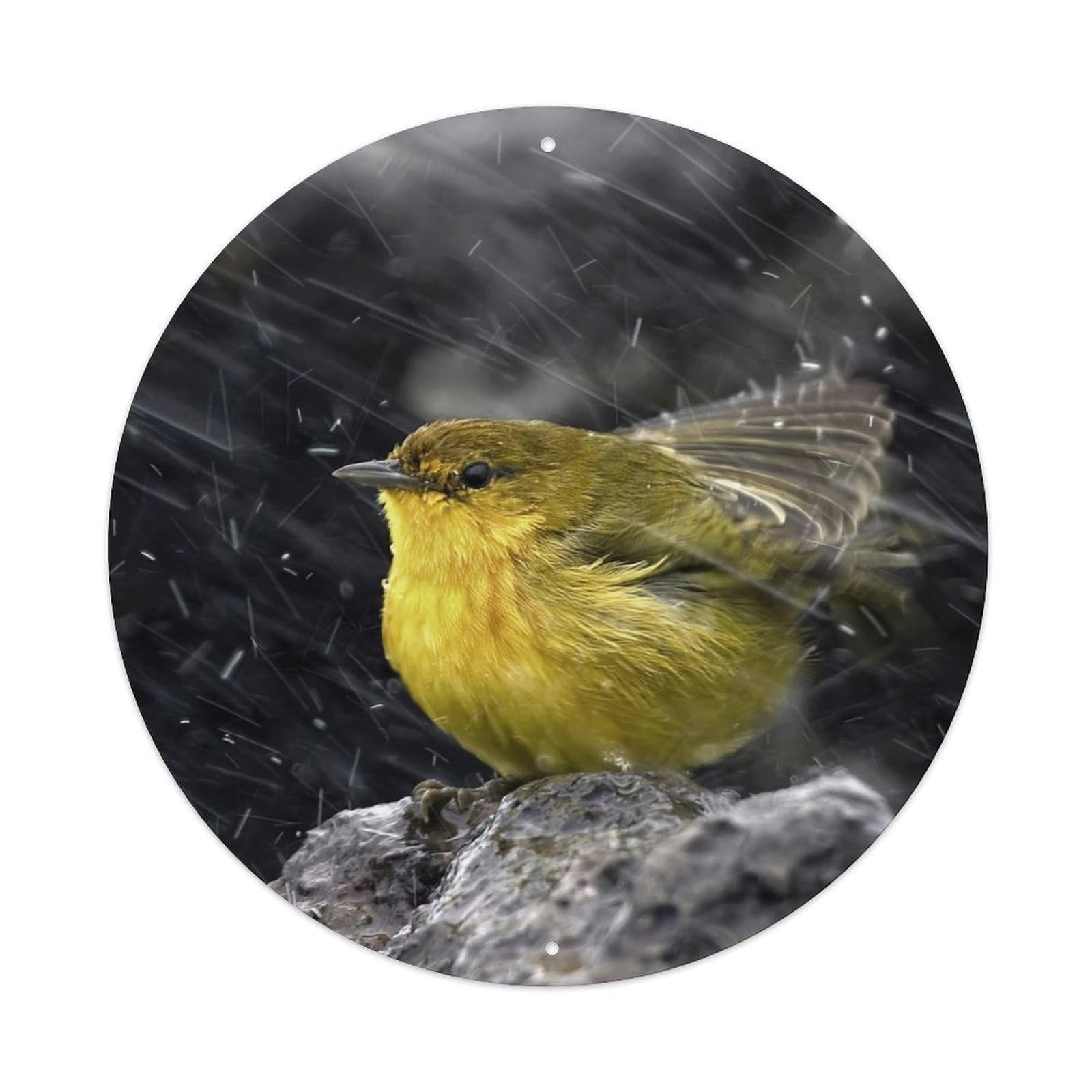 Cwbufd Vintage Style Animal Goldfinch In Rain Scene With Water Droplets And Rock Texture Vintage Metal Tin Sign Plaque Wall Decor For Cafe, Club Bar, Office, Garden Metal Poster 8X8inch