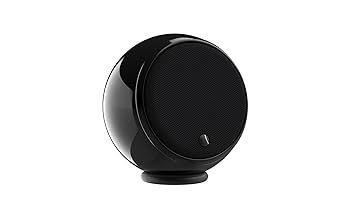 Amazon.com: Gallo Acoustics Micro SE Loudspeaker (Black