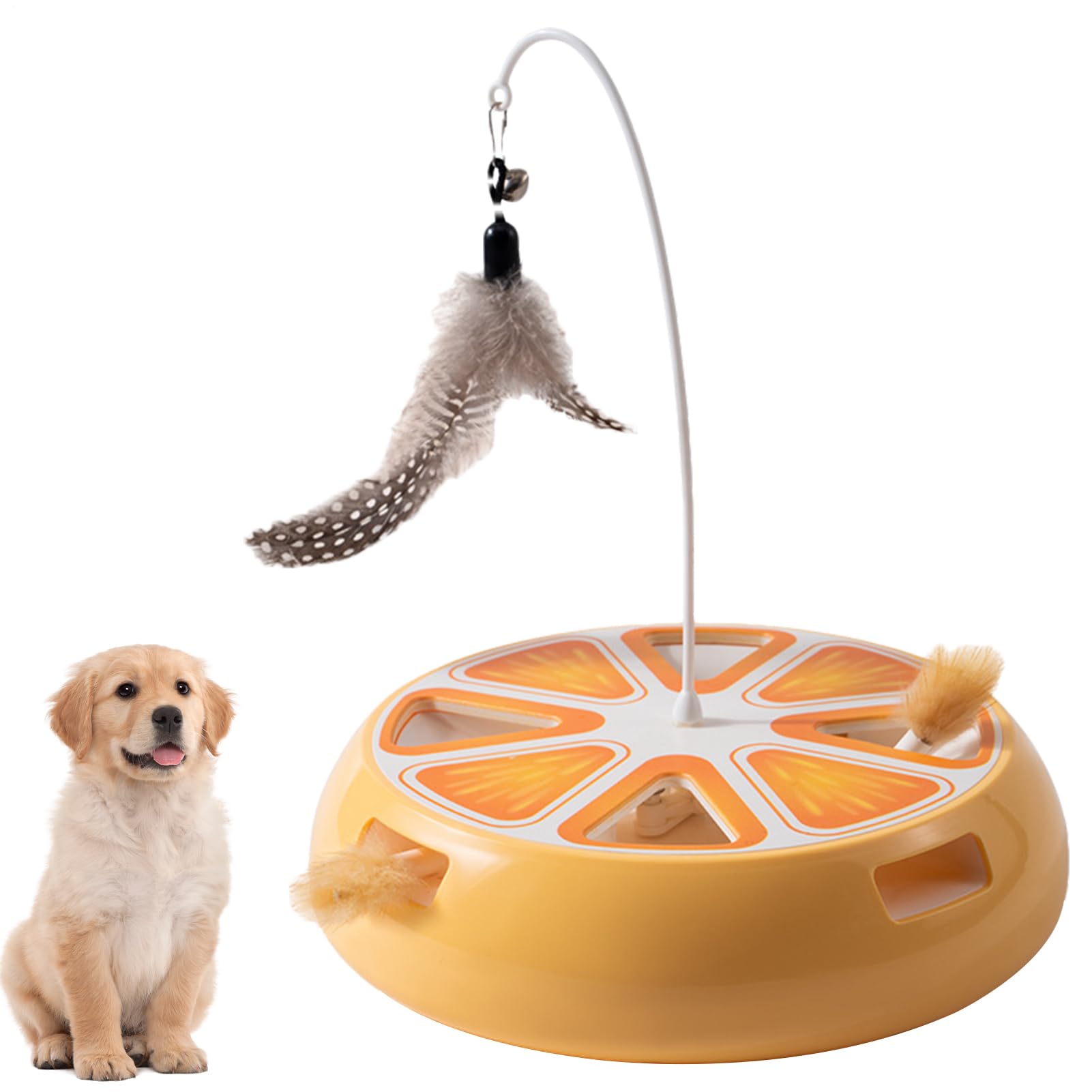 Jouet électrique pour chat contre l'ennui : plateau interactif rechargeable d'intérieur