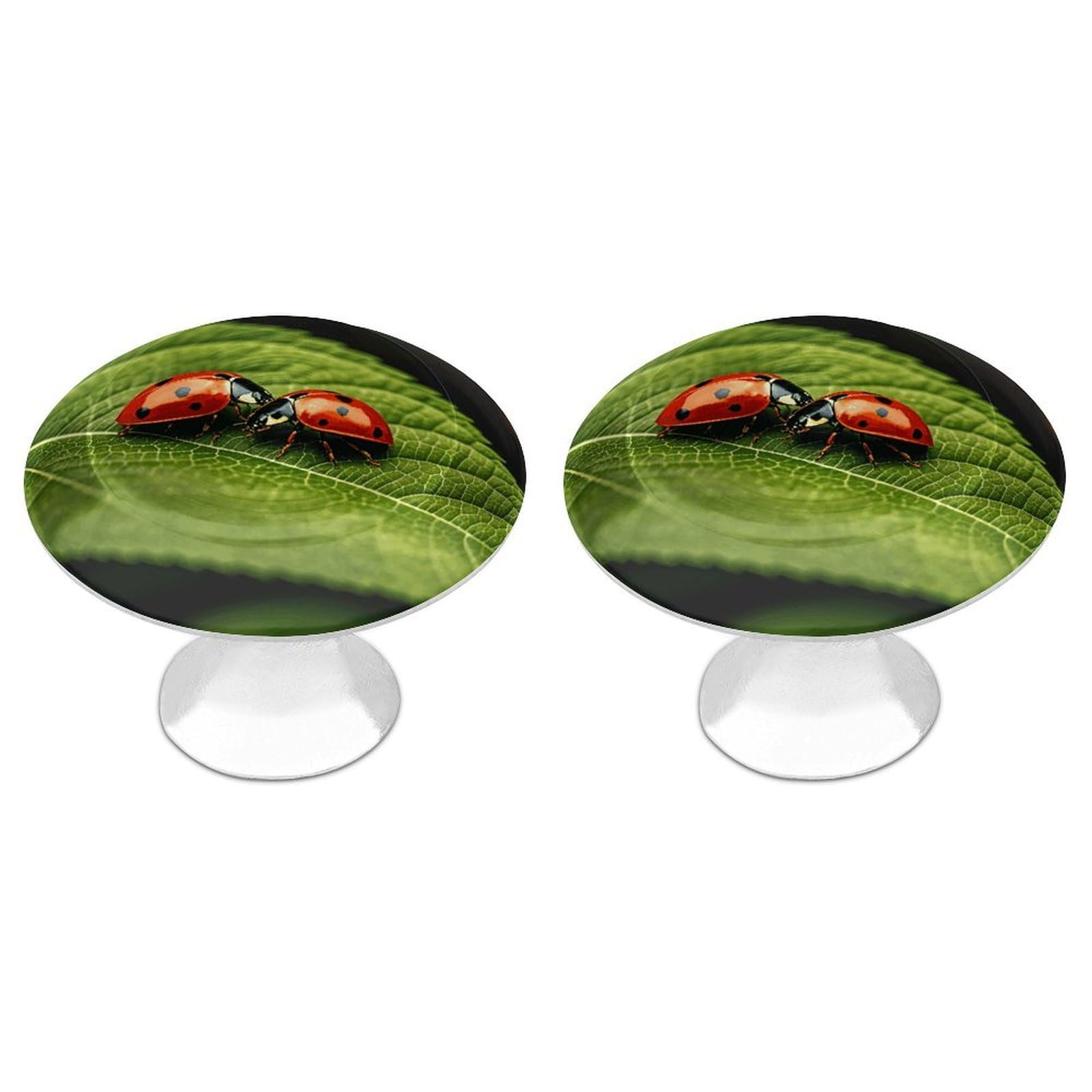 Vstadank Style Deer Hunting Season Cabinet Knob 2 Pack Round Drawer Pull Kitchen Cabinet Hardware Stainless Steel Dresser Drawer Knob Simple Cabinet Pull For Dresser Closet Door Knobs Cupboard